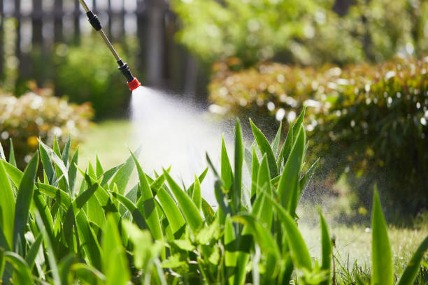 24/7 Emergency Cockroach Control experts in Pelican Rapids, MN